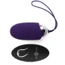 D-212762 INTENSE REMOTE CONTROL