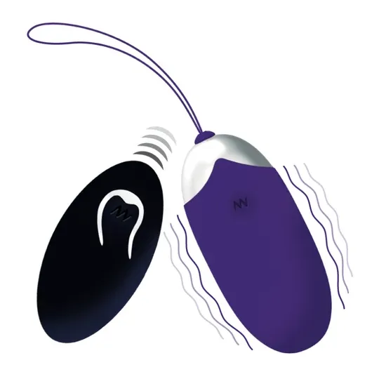 D-212762 INTENSE REMOTE CONTROL