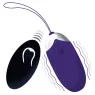 D-212762 INTENSE REMOTE CONTROL