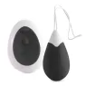 D-221061 INTENSE REMOTE CONTROL