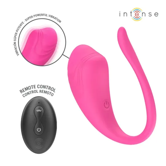 D-245385 INTENSE REMOTE CONTROL
