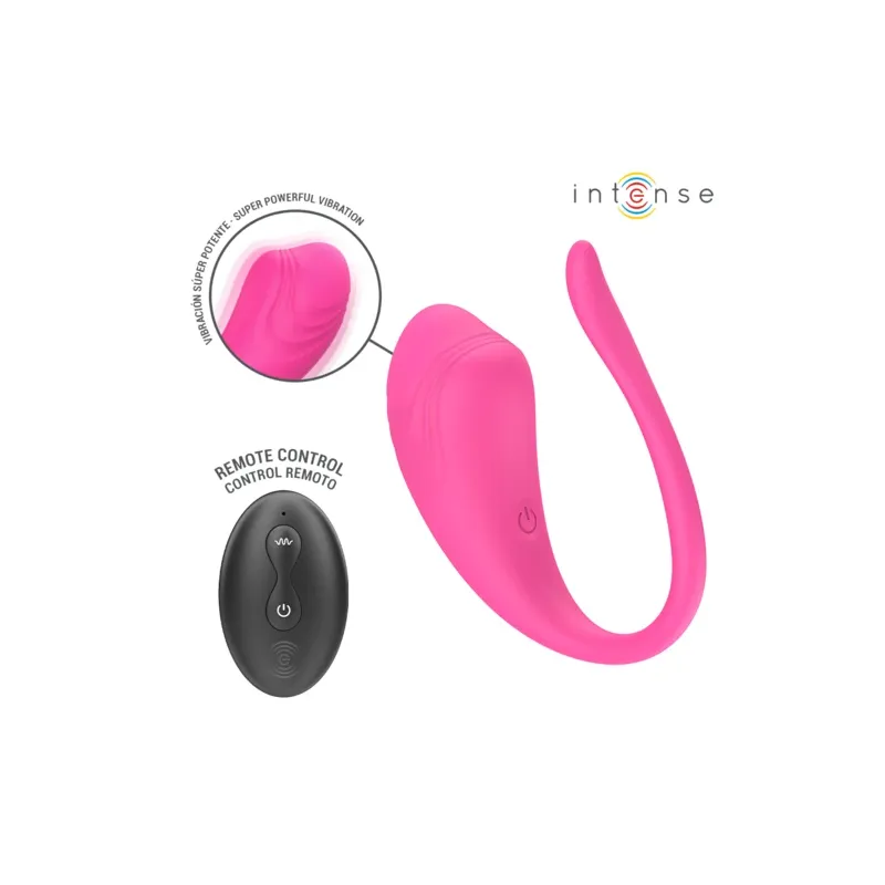 D-245385 INTENSE REMOTE CONTROL