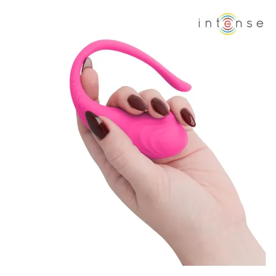 D-245385 INTENSE REMOTE CONTROL