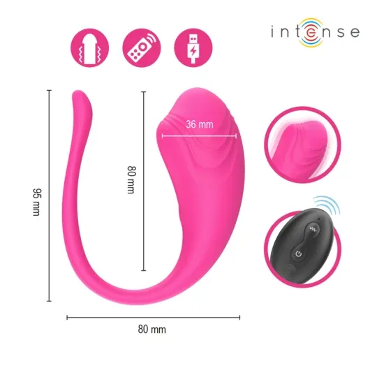 D-245385 INTENSE REMOTE CONTROL