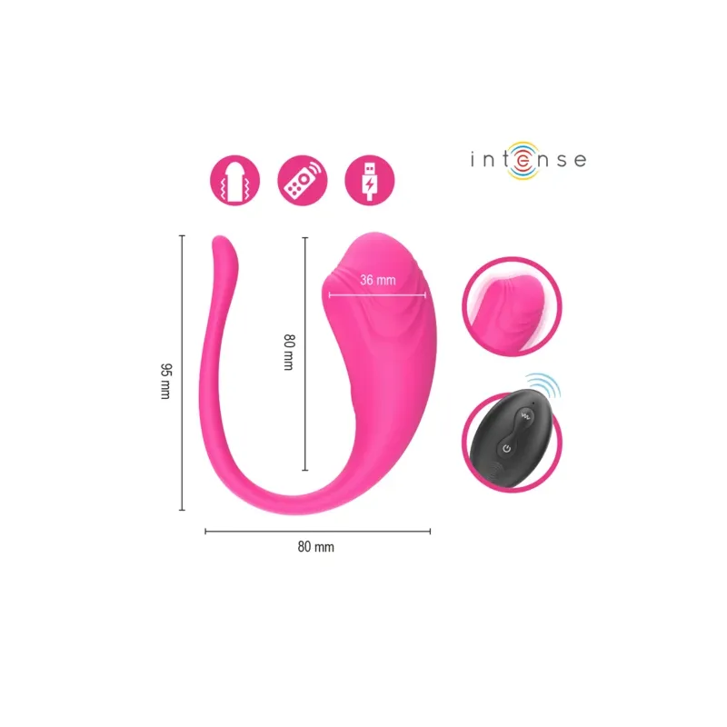 D-245385 INTENSE REMOTE CONTROL