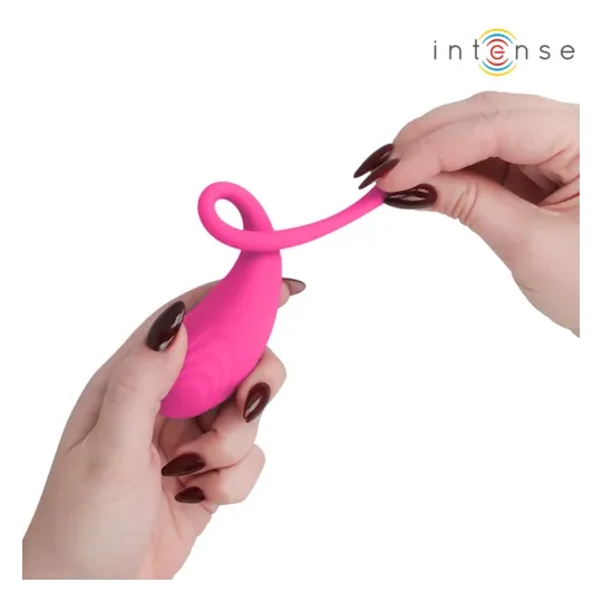 D-245385 INTENSE REMOTE CONTROL