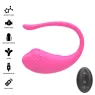 D-245385 INTENSE REMOTE CONTROL