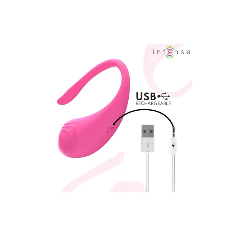 D-245385 INTENSE REMOTE CONTROL