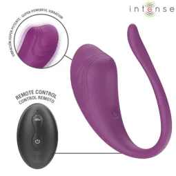 D-245386 INTENSE REMOTE CONTROL