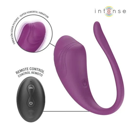 D-245386 INTENSE REMOTE CONTROL
