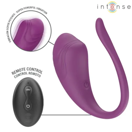 D-245386 INTENSE REMOTE CONTROL