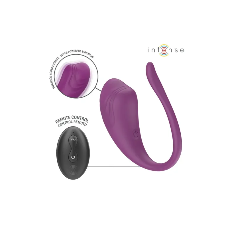 D-245386 INTENSE REMOTE CONTROL