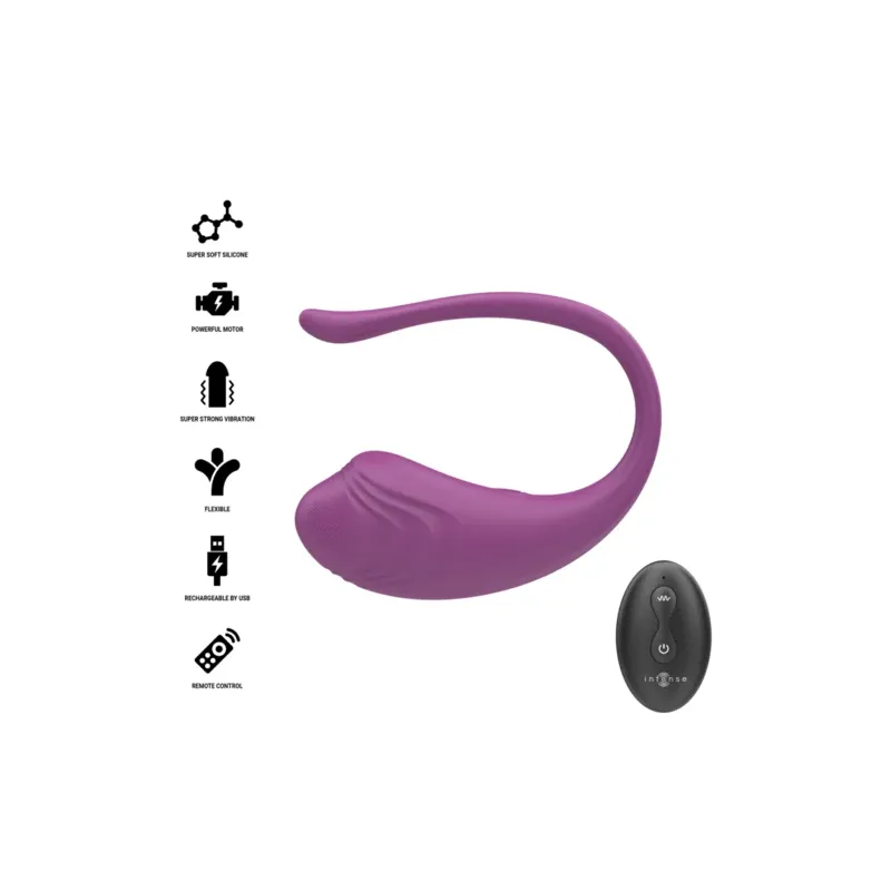 D-245386 INTENSE REMOTE CONTROL