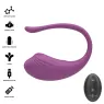 D-245386 INTENSE REMOTE CONTROL