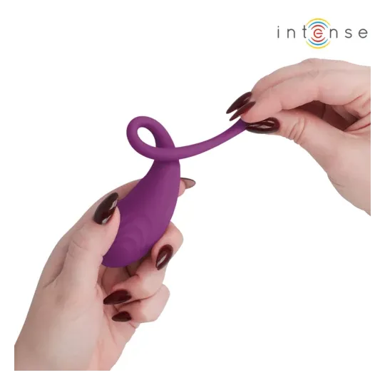 D-245386 INTENSE REMOTE CONTROL