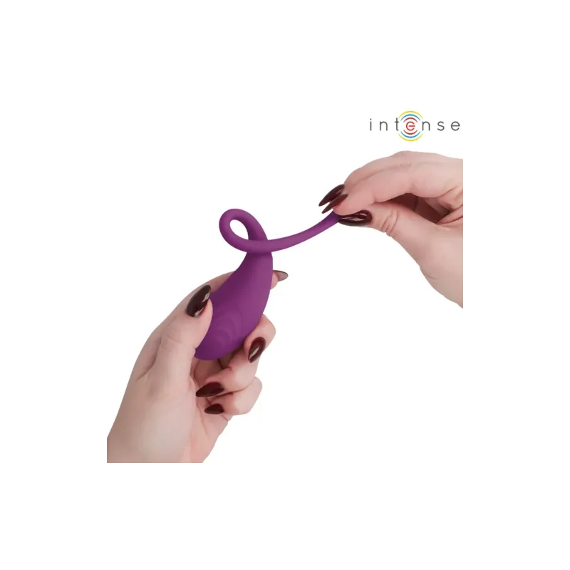 D-245386 INTENSE REMOTE CONTROL