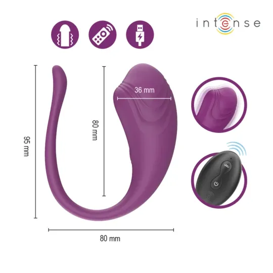 D-245386 INTENSE REMOTE CONTROL