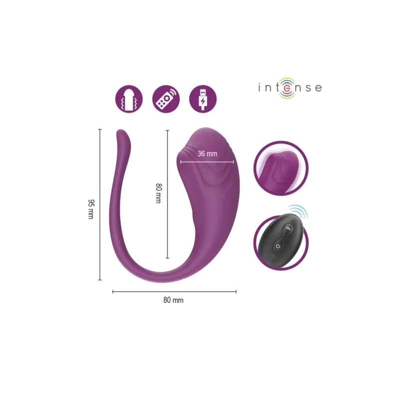 D-245386 INTENSE REMOTE CONTROL