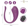 D-245386 INTENSE REMOTE CONTROL