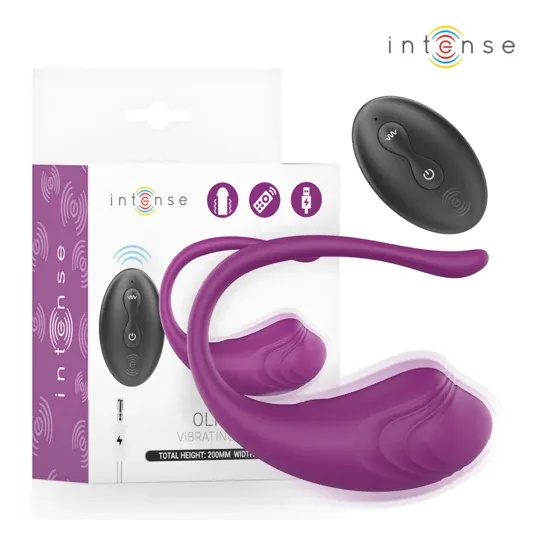 D-245386 INTENSE REMOTE CONTROL