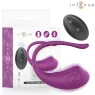 D-245386 INTENSE REMOTE CONTROL