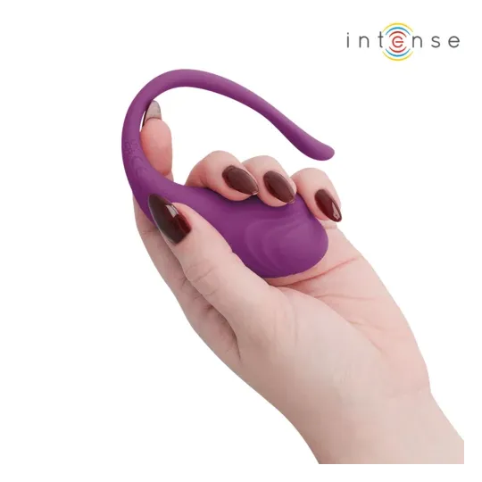 D-245386 INTENSE REMOTE CONTROL