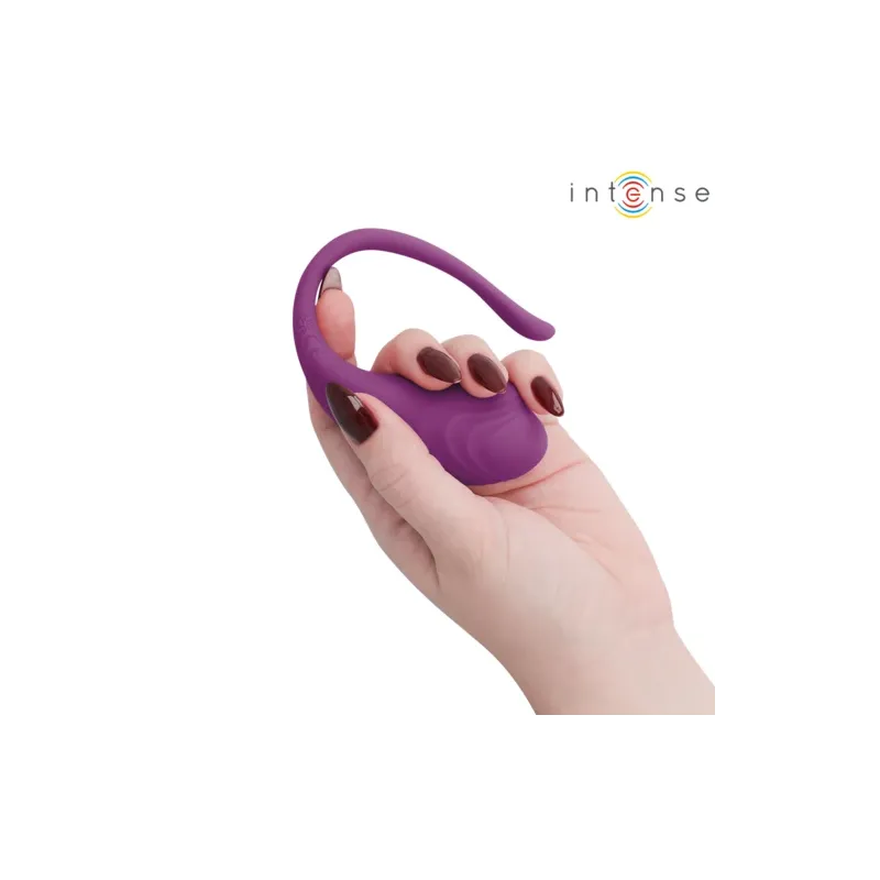 D-245386 INTENSE REMOTE CONTROL