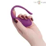 D-245386 INTENSE REMOTE CONTROL