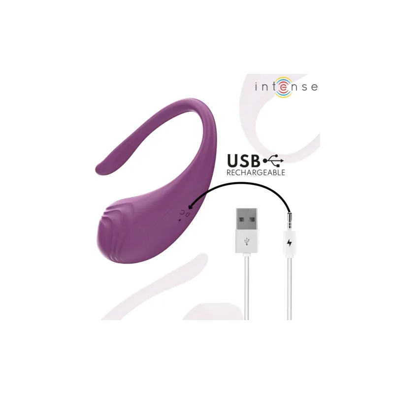 D-245386 INTENSE REMOTE CONTROL