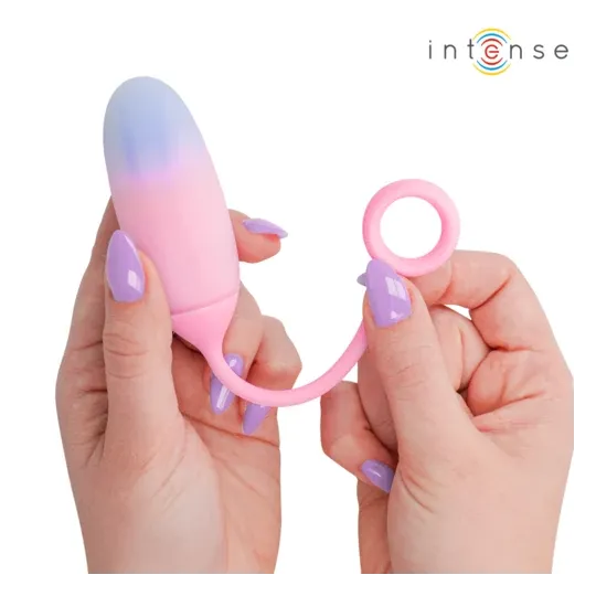 D-245697 INTENSE REMOTE CONTROL