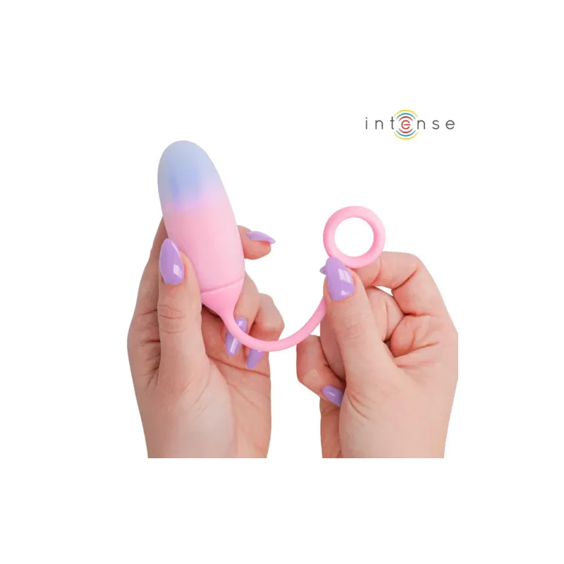 D-245697 INTENSE REMOTE CONTROL