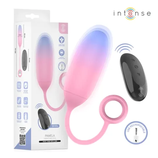 D-245697 INTENSE REMOTE CONTROL