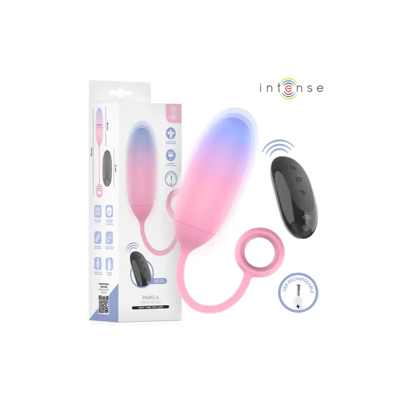 D-245697 INTENSE REMOTE CONTROL