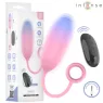 D-245697 INTENSE REMOTE CONTROL