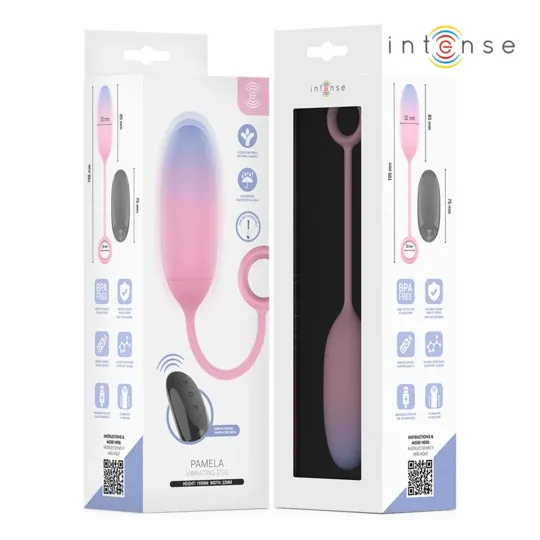 D-245697 INTENSE REMOTE CONTROL