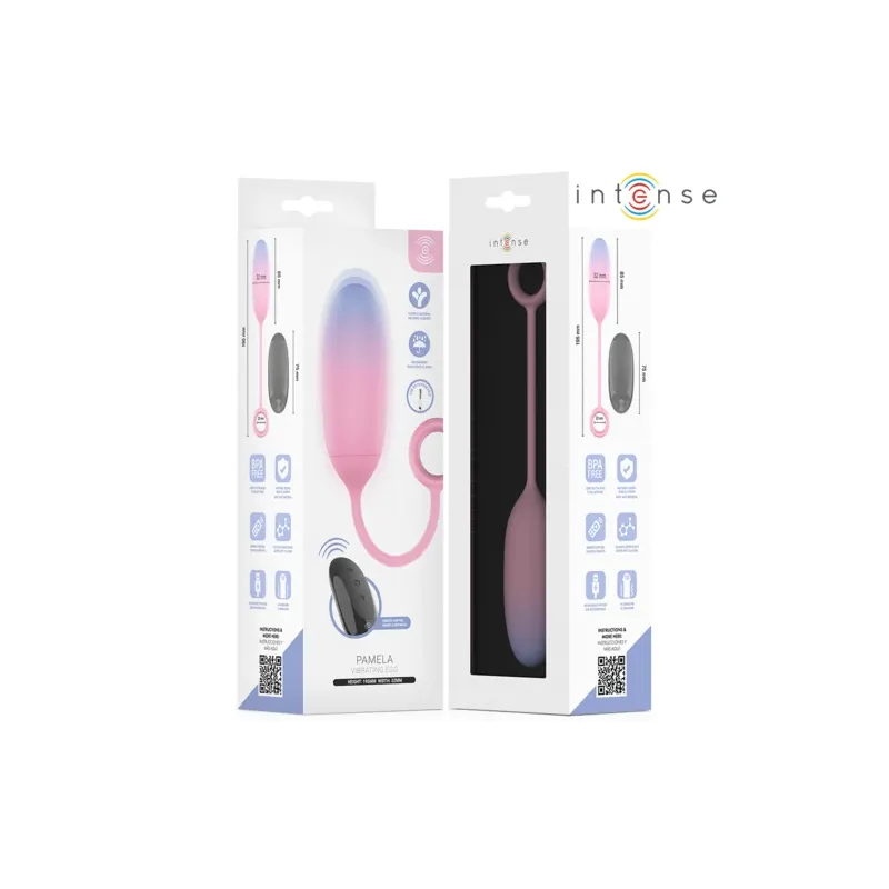 D-245697 INTENSE REMOTE CONTROL