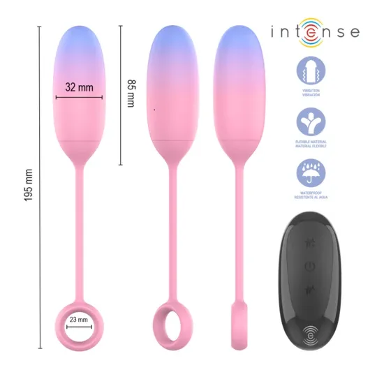 D-245697 INTENSE REMOTE CONTROL
