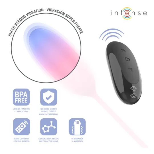 D-245697 INTENSE REMOTE CONTROL