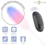 D-245697 INTENSE REMOTE CONTROL