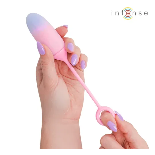 D-245697 INTENSE REMOTE CONTROL