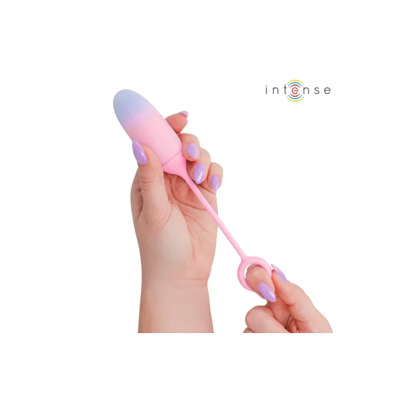 D-245697 INTENSE REMOTE CONTROL