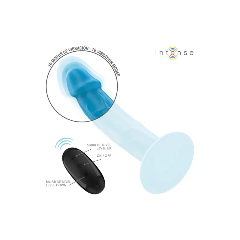 D-244456 INTENSE REMOTE CONTROL