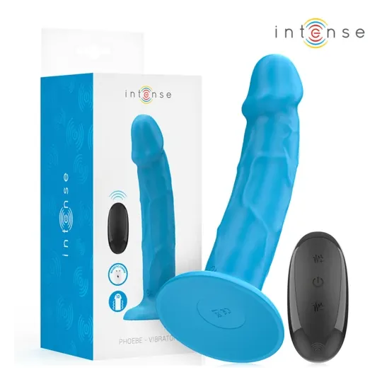 D-244456 INTENSE REMOTE CONTROL