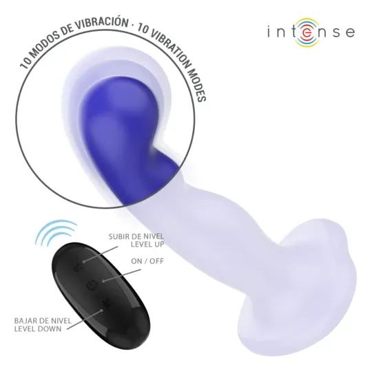 D-241976 INTENSE REMOTE CONTROL