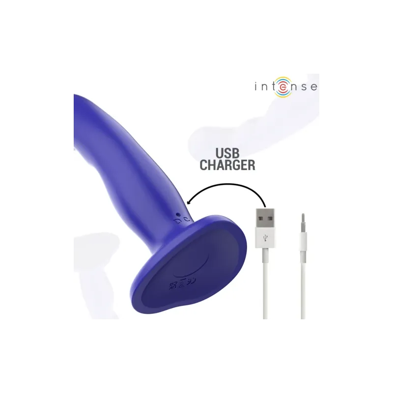 D-241976 INTENSE REMOTE CONTROL