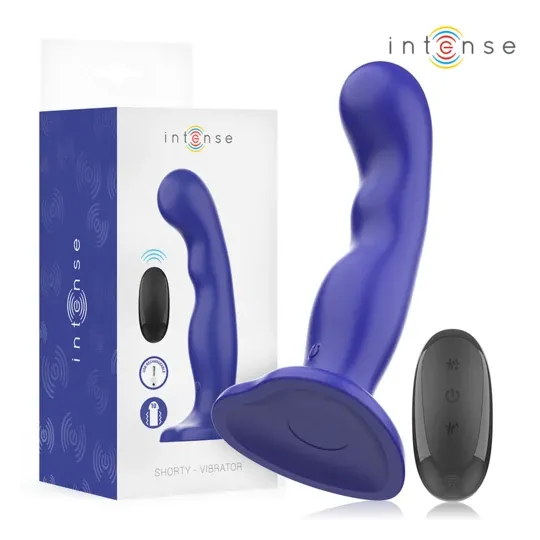 D-244470 INTENSE REMOTE CONTROL