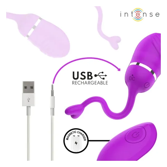D-245693 INTENSE REMOTE CONTROL