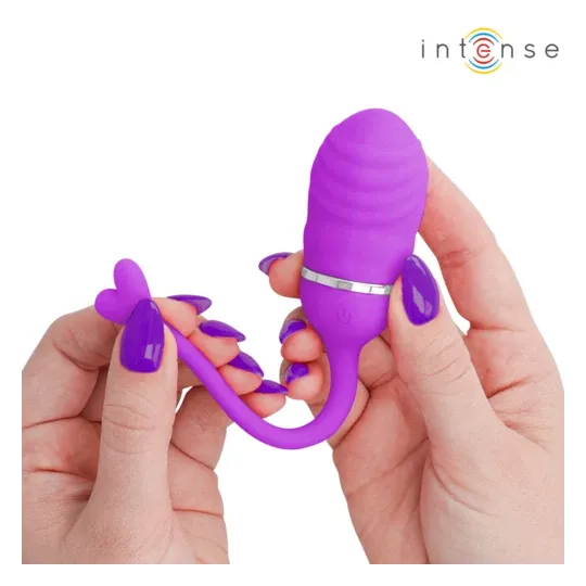 D-245693 INTENSE REMOTE CONTROL