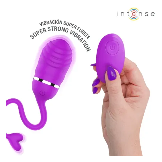D-245693 INTENSE REMOTE CONTROL