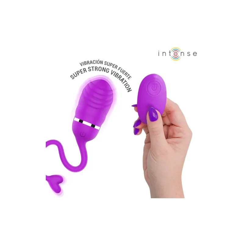 D-245693 INTENSE REMOTE CONTROL